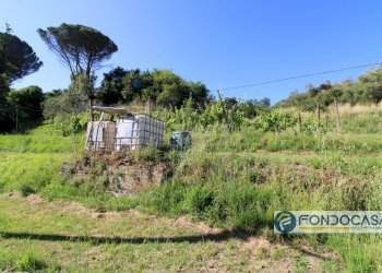 Foto 49 - Casa indipendente Via Val Di Badia, Buti - foto 49
