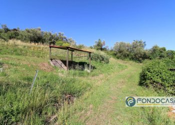 Foto 50 - Casa indipendente Via Val Di Badia, Buti - foto 50