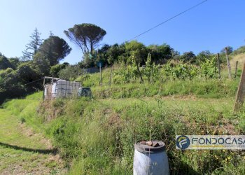 Foto 51 - Casa indipendente Via Val Di Badia, Buti - foto 51