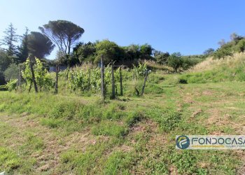 Foto 52 - Casa indipendente Via Val Di Badia, Buti - foto 52
