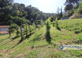 Foto 57 - Casa indipendente Via Val Di Badia, Buti - foto 57
