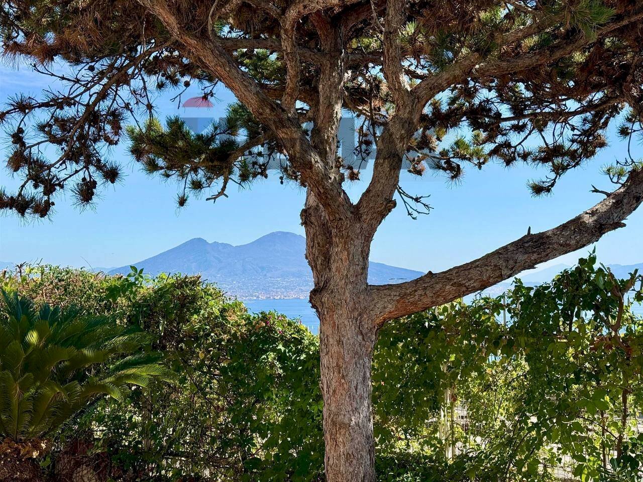 Vista delle montagne - Appartamento Napoli - foto 1