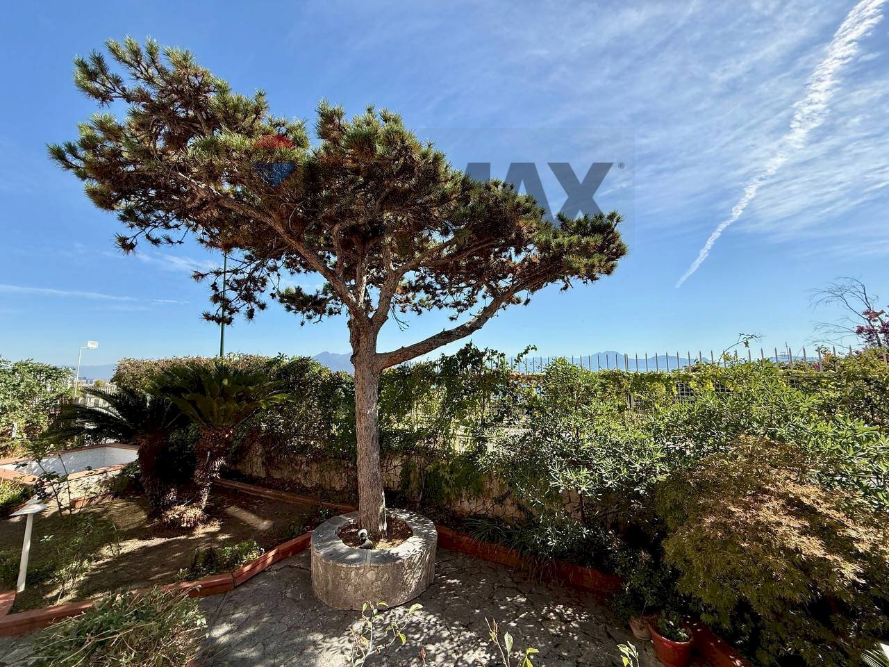 Giardino - Appartamento Napoli - foto 2