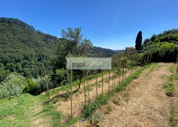 Foto 32 - Casa semi indipendente via di Torcigliano, Camaiore - foto 32