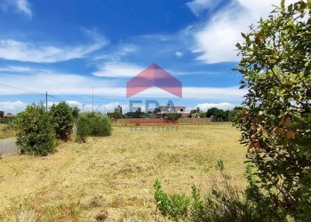 Foto 5 - Agricultural land Via Bergantino, Roma - photo 5