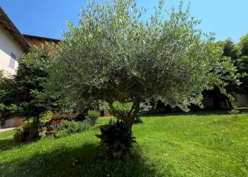 Giardino - Bilocale via Borgo, Minerbio - foto 21