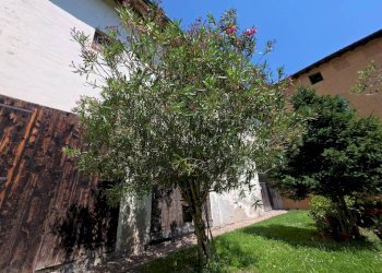 Giardino - Bilocale via Borgo, Minerbio - foto 22