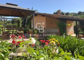 Foto 43 - Villa Località Bandita San Pantaleo, Tarquinia - foto 43