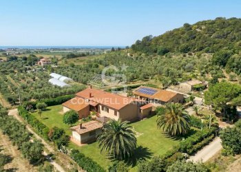 Foto 51 - Villa Località Bandita San Pantaleo, Tarquinia - foto 51
