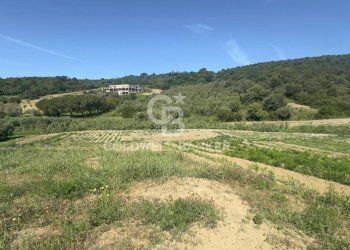 Foto 52 - Villa Località Bandita San Pantaleo, Tarquinia - foto 52