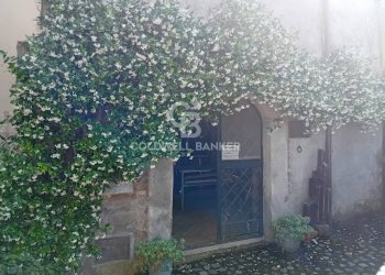 Foto 15 - Negozio Via delle Mura
1, Nepi - foto 15