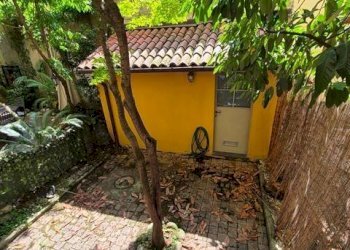 Giardino - One-room apartment via Plinio, 47, Milano (neighborhood Città Studi) - photo 9