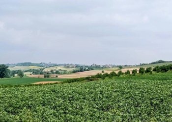 Terreno - Rustico strada Perrona, Calliano - foto 6