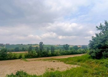 Terreno - Rustico strada Perrona, Calliano - foto 7