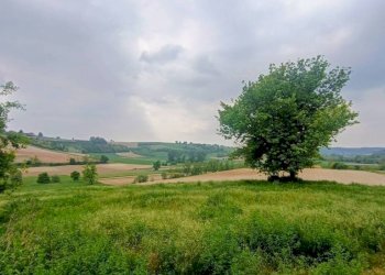 Terreno - Rustico strada Perrona, Calliano - foto 10