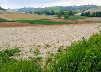 Terreno - Rustico strada Perrona, Calliano - foto 20