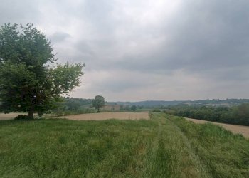 Terreno - Rustico strada Perrona, Calliano - foto 38