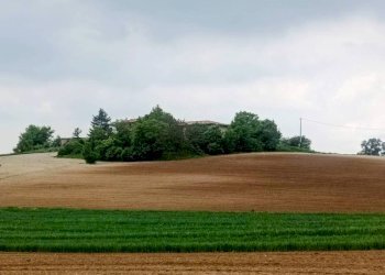 Terreno - Rustico strada Perrona, Calliano - foto 39