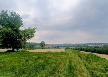 Terreno - Rustico strada Perrona, Calliano - foto 42