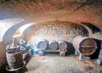Cantina - Rustico strada Perrona, Calliano - foto 44