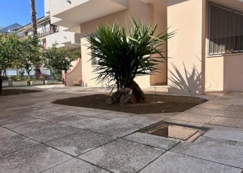 Immagine WhatsApp 2025-05-09 ore 10.50.08_853cb295 - Three-room apartment Francavilla al Mare - photo 17