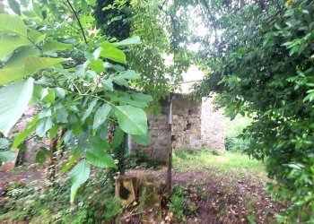 Rustic Via di Gavazzoli, Vernio - photo 6