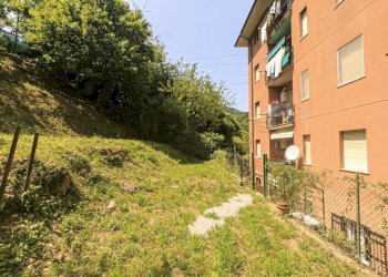TERRANO CONTIGUO ALLA PROPRIETA\' (3) (Copy) - Quadrilocale Via Bartolomeo Parodi 185, Ceranesi - foto 28