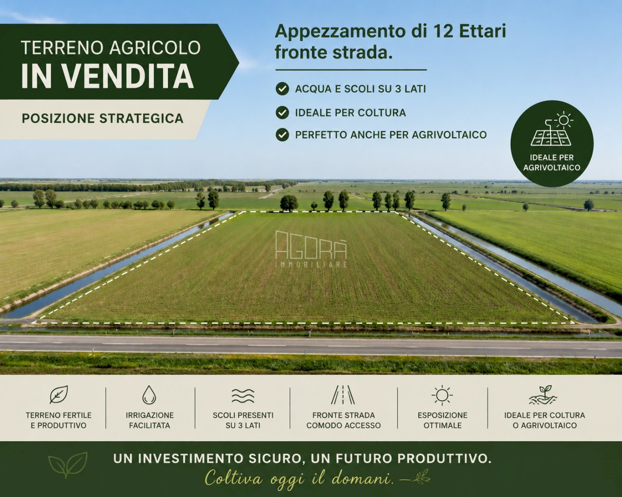 TERRENO - Terreno agricolo Giacciano con Baruchella - foto 1