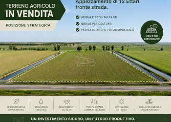 TERRENO - Terreno agricolo Giacciano con Baruchella - foto 1