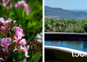 Villa Torpè - foto 10