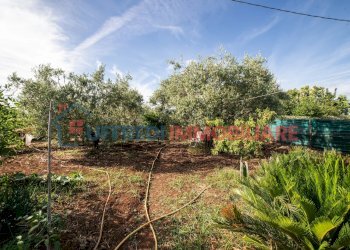 Villa Velletri - photo 5