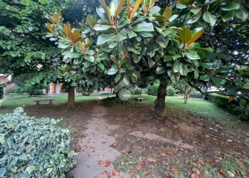 Quadrilocale Via reni guido, Torino (zona Mirafiori Nord) - foto 3