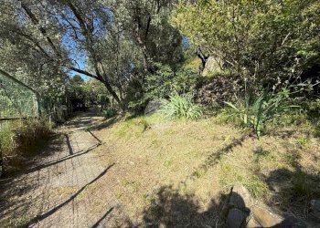 Appartamento Salita Poggio di Apparizione, Genova (zona Apparizione) - foto 36