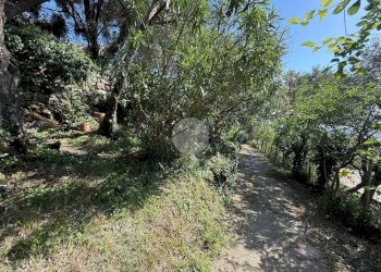 Appartamento Salita Poggio di Apparizione, Genova (zona Apparizione) - foto 37