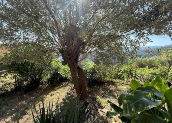 Appartamento Salita Poggio di Apparizione, Genova (zona Apparizione) - foto 38