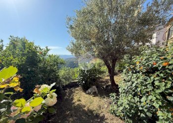 Appartamento Salita Poggio di Apparizione, Genova (zona Apparizione) - foto 41