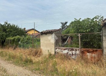 Casa semi indipendente Via Regione Cuna, Motta de' Conti - foto 5