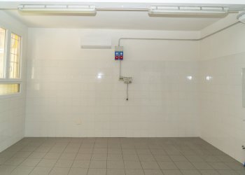 Negozio Bologna (zona Centro Storico) - foto 13