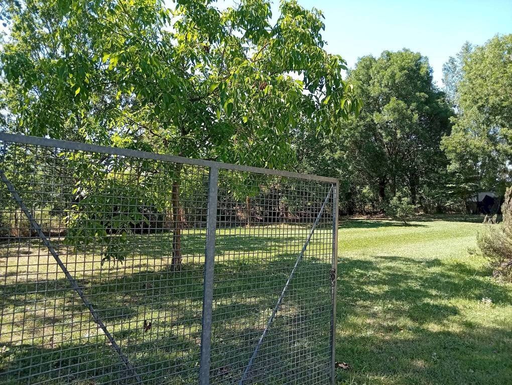 Terreno - Villa via 25 Aprile, Novi di Modena - foto 1