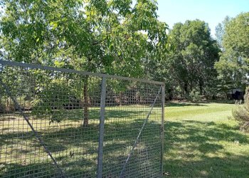 Terreno - Villa via 25 Aprile, Novi di Modena - foto 1