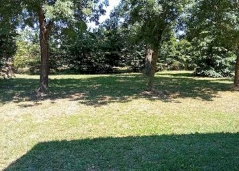 Terreno - Villa via 25 Aprile, Novi di Modena - foto 5