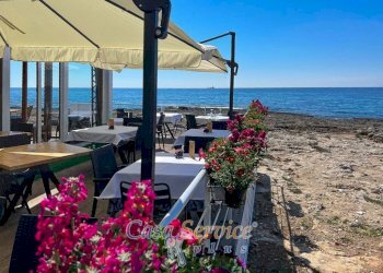 Zona - Ristorante SP215, Racale - foto 3
