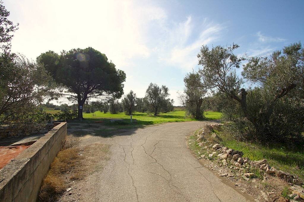 Terreno - Terreno agricolo strada Vicinale Mimmo, Matino - foto 1