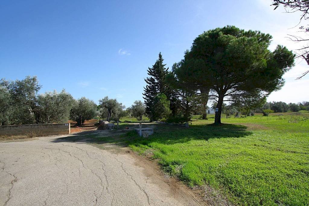 Terreno - Terreno agricolo strada Vicinale Mimmo, Matino - foto 2