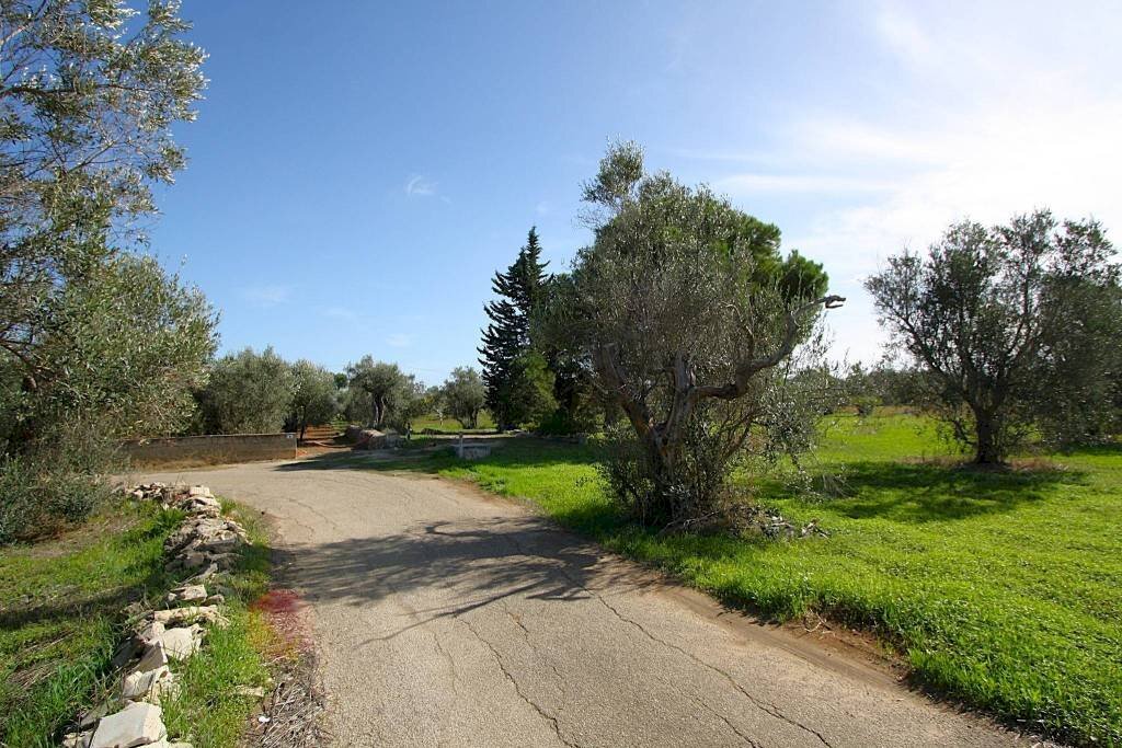 Terreno - Terreno agricolo strada Vicinale Mimmo, Matino - foto 3