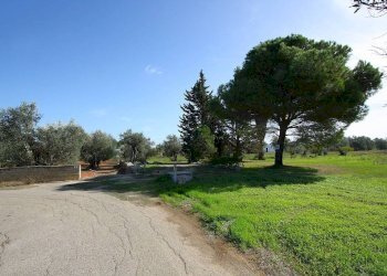 Terreno - Agricultural land strada Vicinale Mimmo, Matino - photo 2