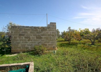 Terreno - Agricultural land strada Vicinale Mimmo, Matino - photo 12