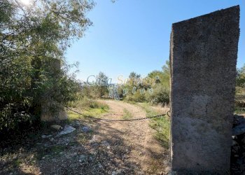 Terreno - Rustic via La Guardia, Sannicola - photo 23