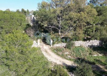Terreno - Rustic via La Guardia, Sannicola - photo 29