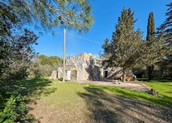 Terreno - Rustico via La Guardia, Sannicola - foto 3